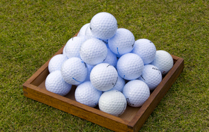 Entraînement seniors